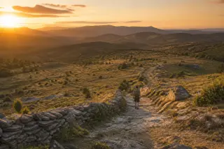 Lone hiker on a stony trail winding through wild landscape of the Causse Méjean at golden hour, surrounded by broom shrubs and distant Cévennes mountains under warm, natural light.