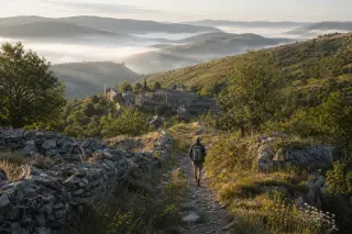 Early morning hiking trail on the Causse Méjean with a lone hiker, chestnut trees, stone walls, and a misty Cévennes village in the distance.