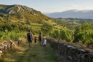 Family walking along a rural hiking trail among vineyards near Arbin and Jongieux at golden hour, with distant granite hills and chestnut trees under a clear sky.