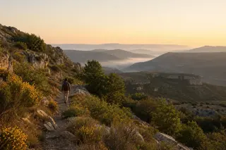 Golden hour view of a lone hiker on a rocky trail in the Cévennes, with wildflowers and distant misty hills under soft sunlight, evoking the tranquil atmosphere of the Lozère mountains.